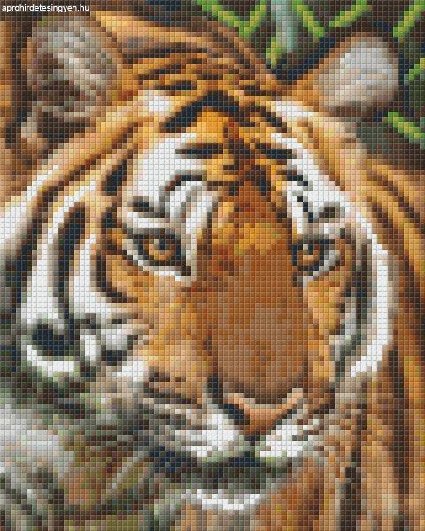 Pixel szett 4 normál alaplappal, színekkel, nőstény tigris (804461)