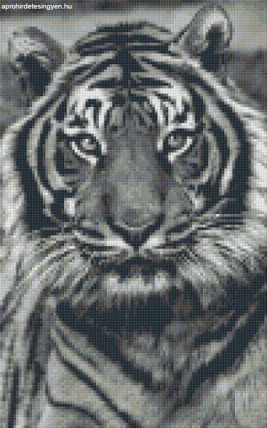 Pixel szett 8 normál alaplappal, színekkel, tigris (808086)