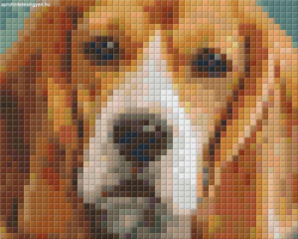 Pixel szett 1 normál alaplappal, színekkel, kutya, basset hound (801301)