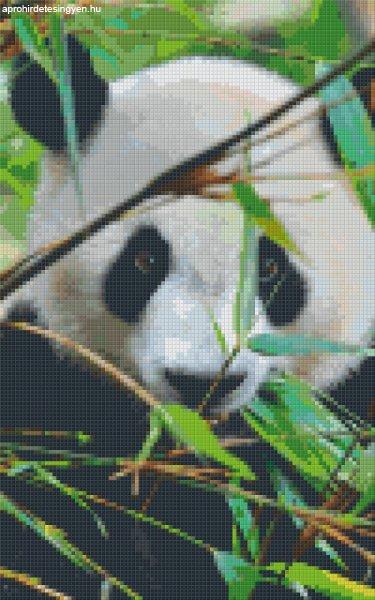Pixel szett 8 normál alaplappal, színekkel, panda (808080)