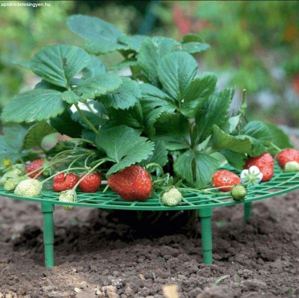 Eperfal állvány - Kertészeti termék a növénytámogatáshoz
