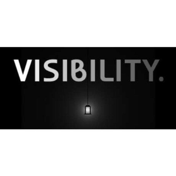 Visibility (PC - Steam elektronikus játék licensz)