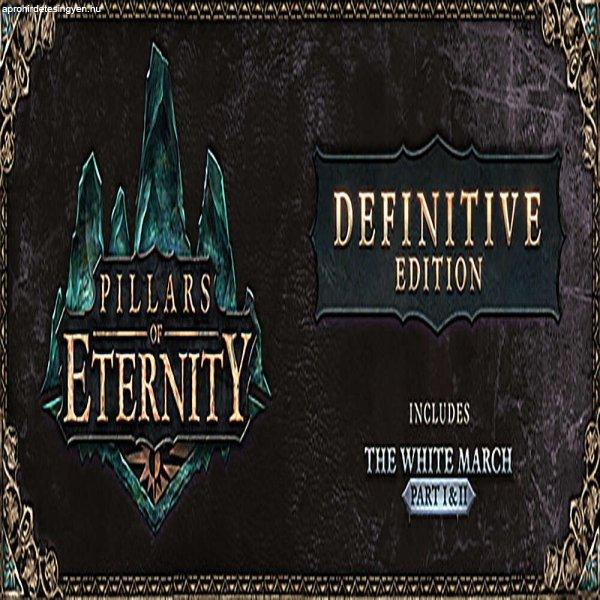 Pillars of Eternity (Definitive Edition) (Digitális kulcs - PC)