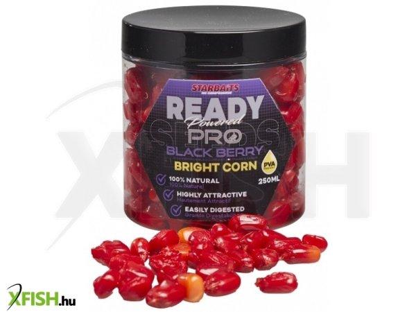 Starbaits Bright Ready Seeds Pro Kukorica Feketeribizli 250ml