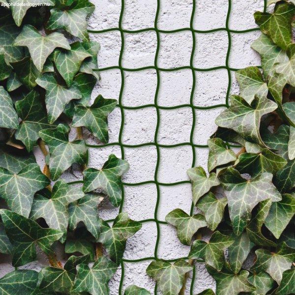 Garden of Eden Növényfuttató háló - 5 m x 50 cm - vágható műanyag -
sötétzöld 11467