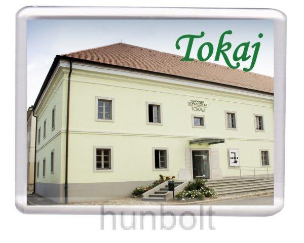 Tokaj-Világörökségi Bormúzeum hűtőmágnes (műanyag keretes)