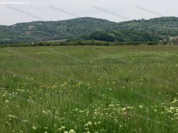 Falu széli mezőgazdasági terület - Balatonszőlős