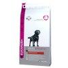 Eukanuba Labrador Retriever fajtatp 12kg