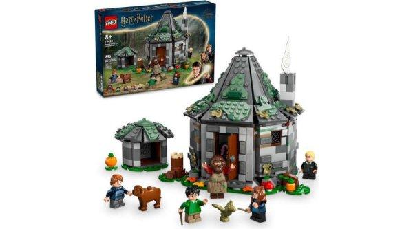 LEGO® Harry Potter™ - Hagrid kunyhója: Egy váratlan látogatás (76428)