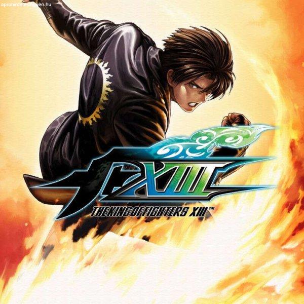 The King Of Fighters XIII (Steam Edition)