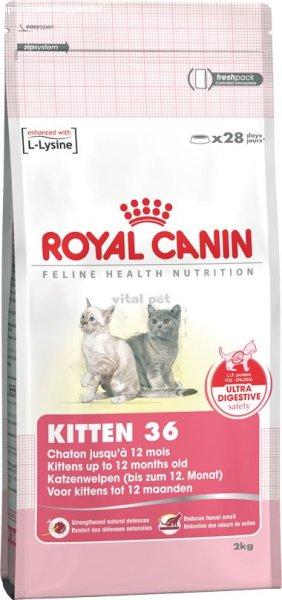 Royal Canin FHN Kitten 36 10 kg 