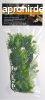 Zoo Med Large Malaysian Fern terrriumi mnvny
