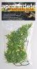 Zoo Med Large Bolivian Croton terrriumi mnvny