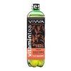 Viwa vitamintea black tea peach 600 ml