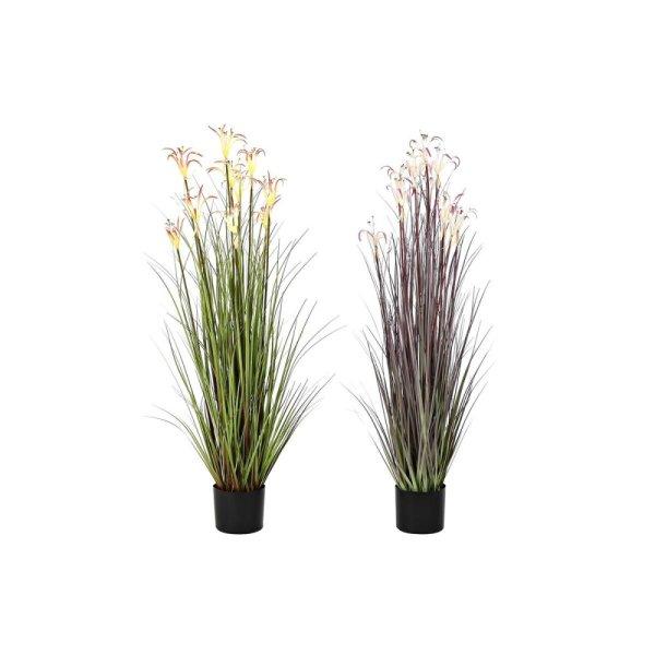 Dekor növény DKD Home Decor Fém Narancszín Zöld Burgundi PVC 35 x 35 x 114
cm (2 egység) MOST 68302 HELYETT 43224 Ft-ért!