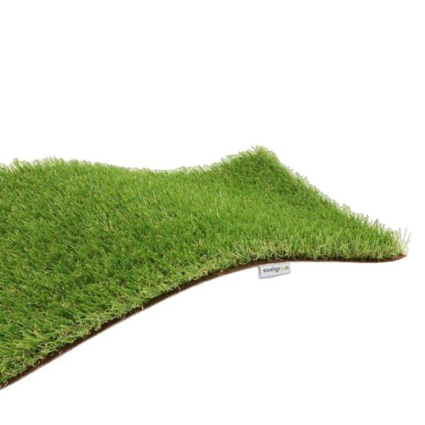 Mesterséges fű Exelgreen Campus 2D 1 x 5 m 25 mm MOST 67172 HELYETT 50549
Ft-ért!