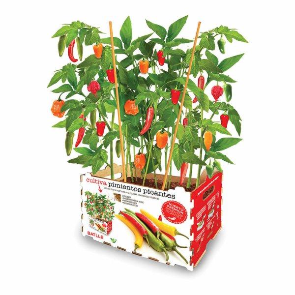 Ültető készlet Batlle Paprika Fűszeres 30 x 19,5 x 16,2 cm MOST 14981
HELYETT 8970 Ft-ért!