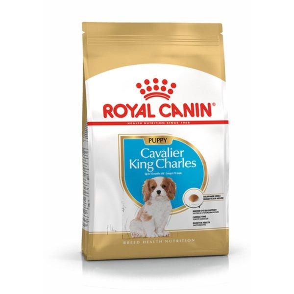 Takarmány Royal Canin Cavalier King Charles Spaniel Puppy 1,5 Kg MOST 17224
HELYETT 11600 Ft-ért!