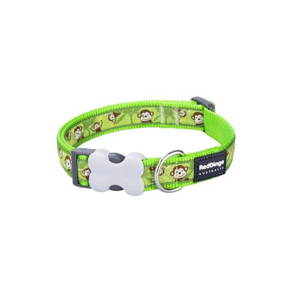 Nyakörv Red Dingo STYLE MONKEY LIME GREEN 15 mm x 24-36 cm MOST 6056 HELYETT
3398 Ft-ért!