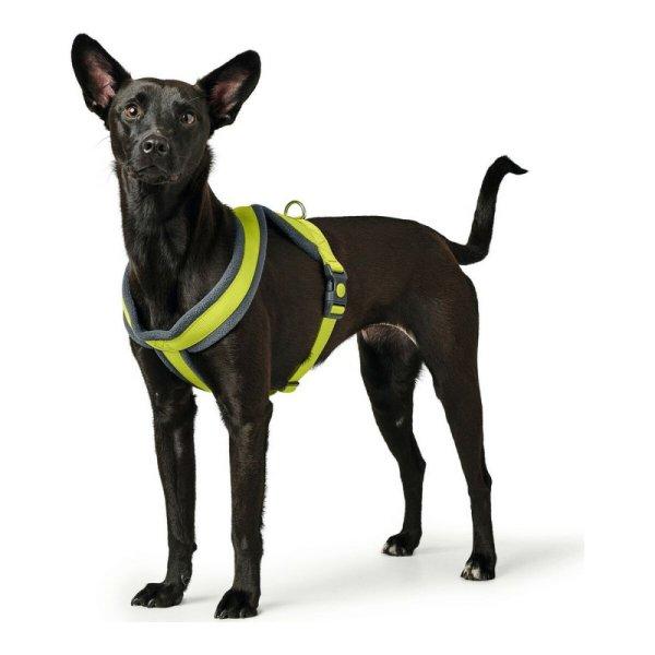 Kutyahám Hunter London Comfort XS-S 39-47 cm Lime MOST 6706 HELYETT 3762
Ft-ért!