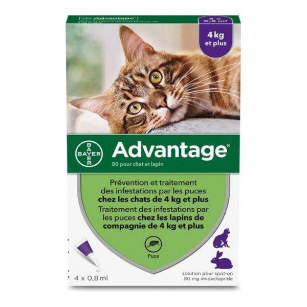 Parazitaellenes Advantage Macska Nyúl +4 Kg 4 egység 0,8 ml MOST 33606 HELYETT
22091 Ft-ért!