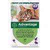 Parazitaellenes Advantage Macska Nyl +4 Kg 4 egysg 0,8 ml 