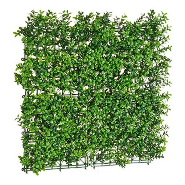 Dekor növény Ibergarden MZ188019A 50 x 5 x 50 cm MOST 10990 HELYETT 6581
Ft-ért!