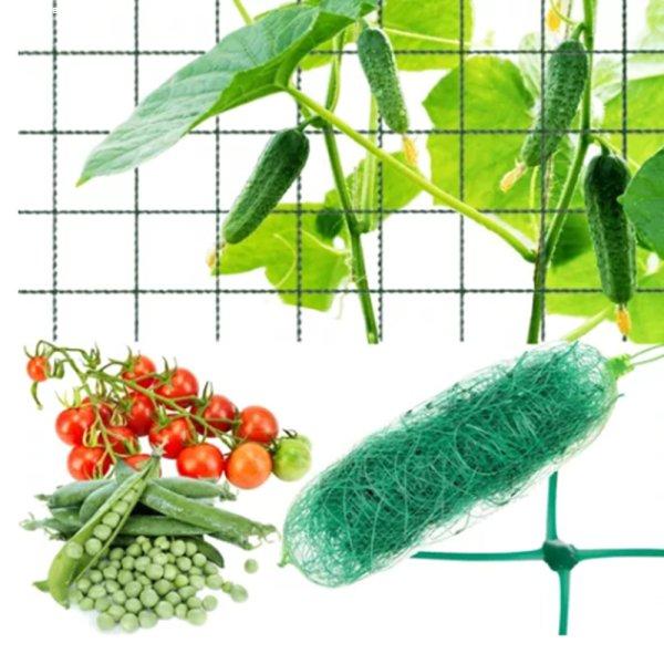 Növénytartó, futtató háló -ideális választás kerti és beltéri
növények számára 2 x 20 m m zöld (BB-23980)