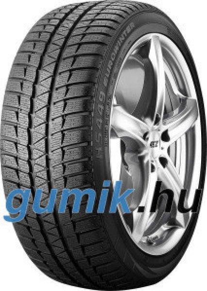 Falken EUROWINTER HS449 ( 255/40 R18 99V XL )