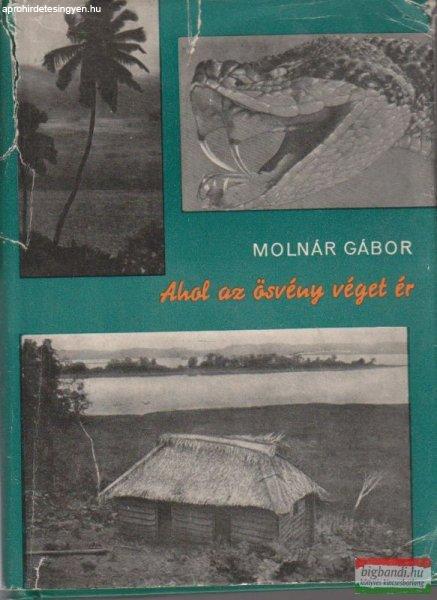 Molnár Gábor - Ahol az ösvény véget ér