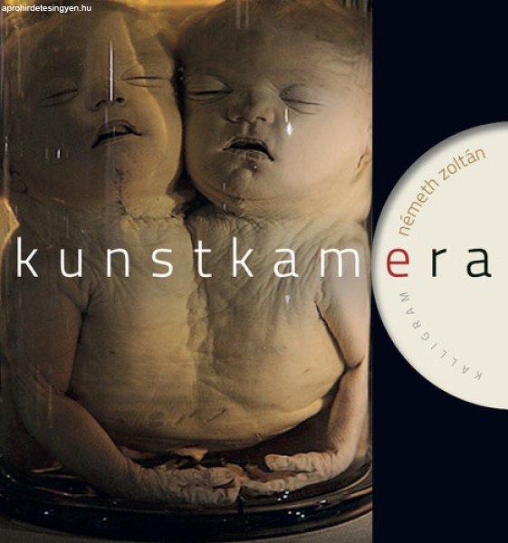 Kunstkamera