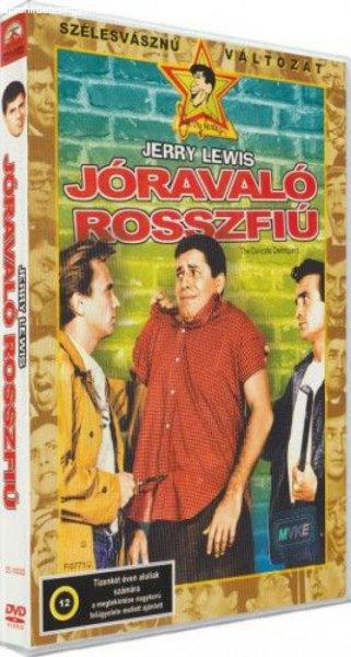 Jóravaló rosszfiú - DVD