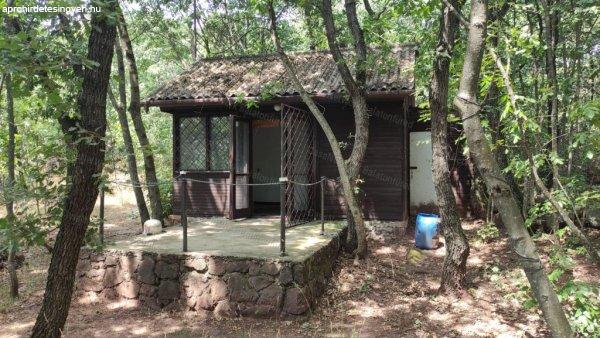 Kis ház az erdőben - Alsóörs