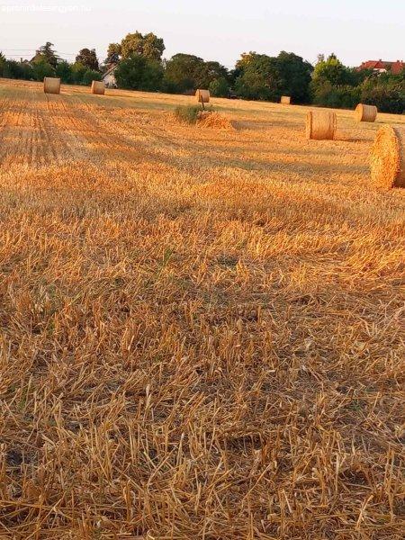 Balatonszabadiban mezőgazdasági telek eladó