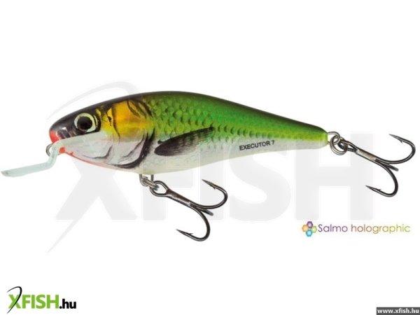 Salmo Wobbler Executor Iex7Sr Ef Floating