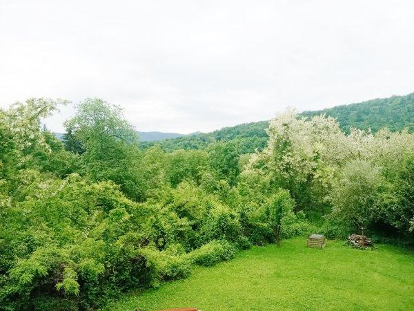 Nagymaroson 1150 nm-es, panorámás telken két szintes kertes ház eladó.