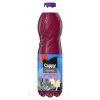 COCA Cappy Ice ErdeiGym. 1,5l PET - DRS