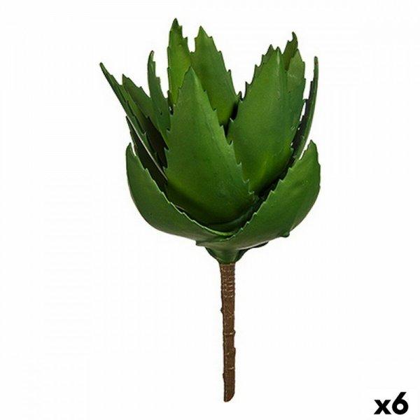 Dekor növény Aloe vera 13 x 24,5 x 14 cm Zöld Műanyag (6 egység) MOST 22515
HELYETT 14435 Ft-ért!