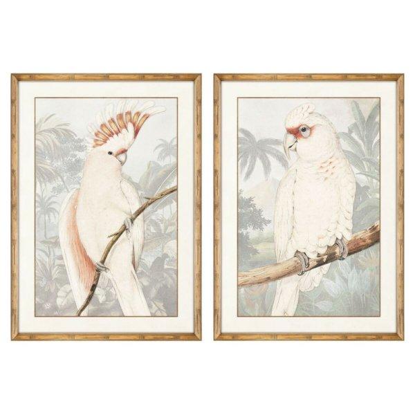 Kép DKD Home Decor Papagáj Trópusi 50 x 3 x 70 cm26 x 100 cm (2 egység) MOST
79686 HELYETT 50425 Ft-ért!
