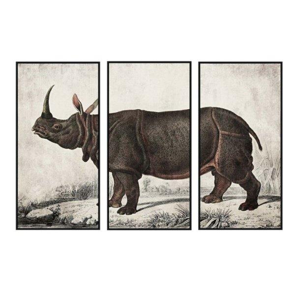 Kép DKD Home Decor Gyarmati Orrszarvú (180 x 4 x 120 cm) MOST 150270 HELYETT
96377 Ft-ért!