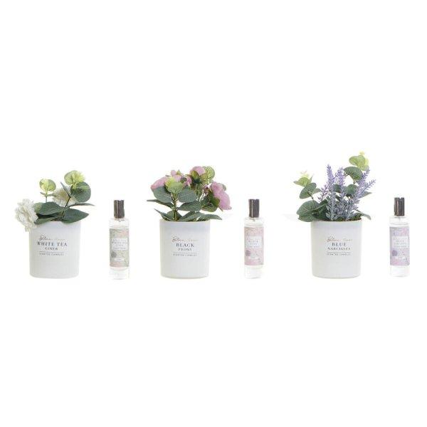 Légfrissítő DKD Home Decor Shabby Chic (3 egység) (2 egység) MOST 29305
HELYETT 17155 Ft-ért!
