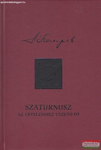 Arkagyij Petrov - Szaturnusz - Az értelemhez vezető út