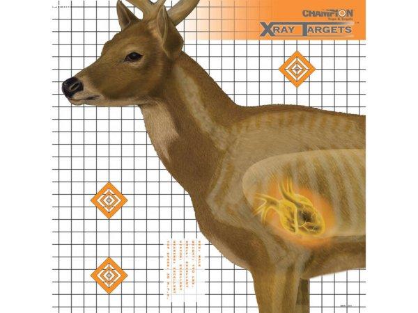 Champion célpont szarvas röntgen, 6db
