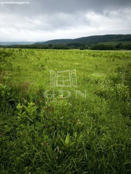 Eladó telek Őrbottyán, 	panorámás részen