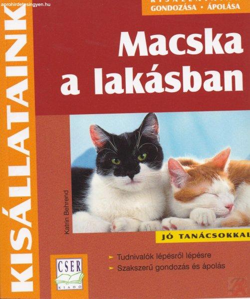 MACSKA A LAKÁSBAN