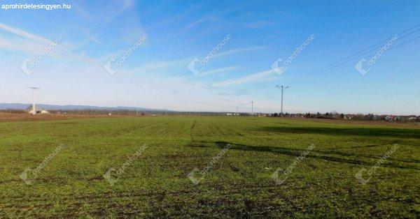 Kiváló helyen, 9770 m2 telek Mezőkövesden eladó