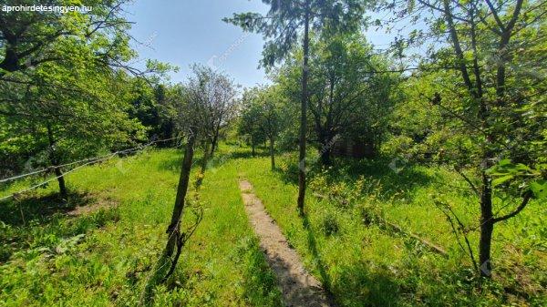 Magashegyen eladó 800 m2-es belterületi panorámás telek! - Miskolc