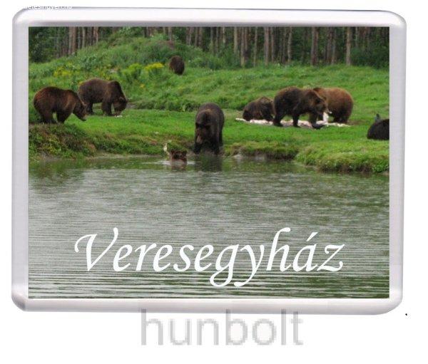 Veresegyház-Medveotthon hűtőmágnes (műanyag keretes)