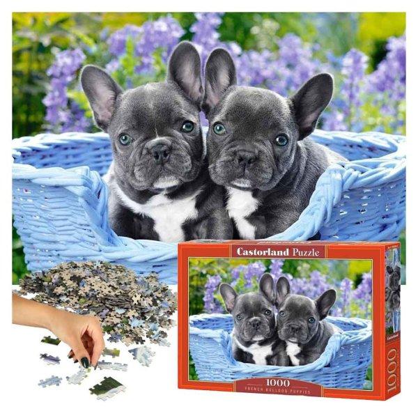 CASTORLAND Puzzle Francia bulldogok 68x47cm - 1000