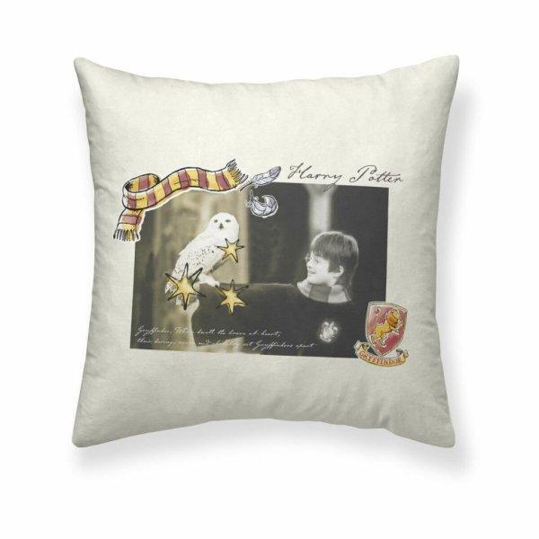 Párnahuzat Harry Potter Little Memories Többszínű 50 x 50 cm MOST 13025
HELYETT 6217 Ft-ért!